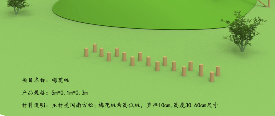 地面绳索组合-梅花桩